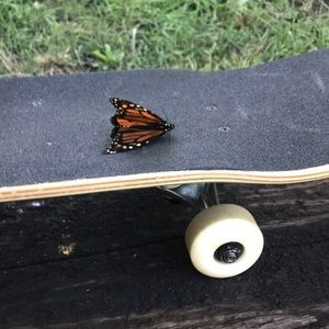 Meet your Posher, Madelyn